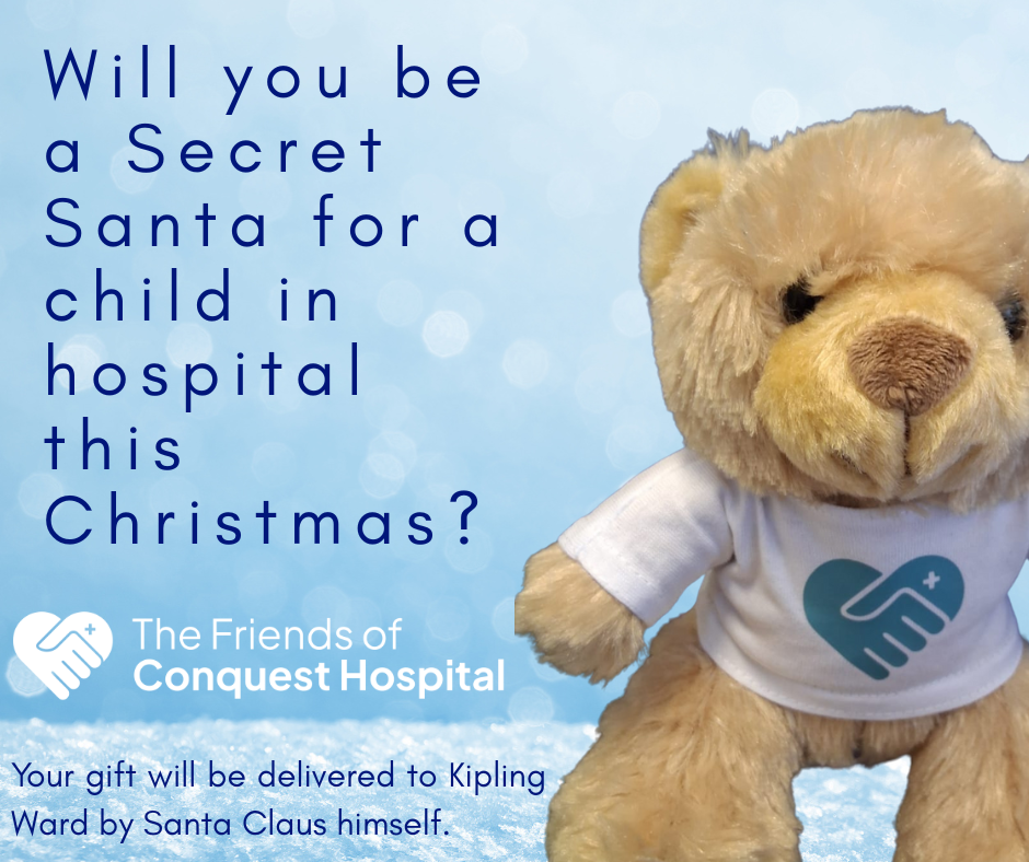 Secret Santa Teddies