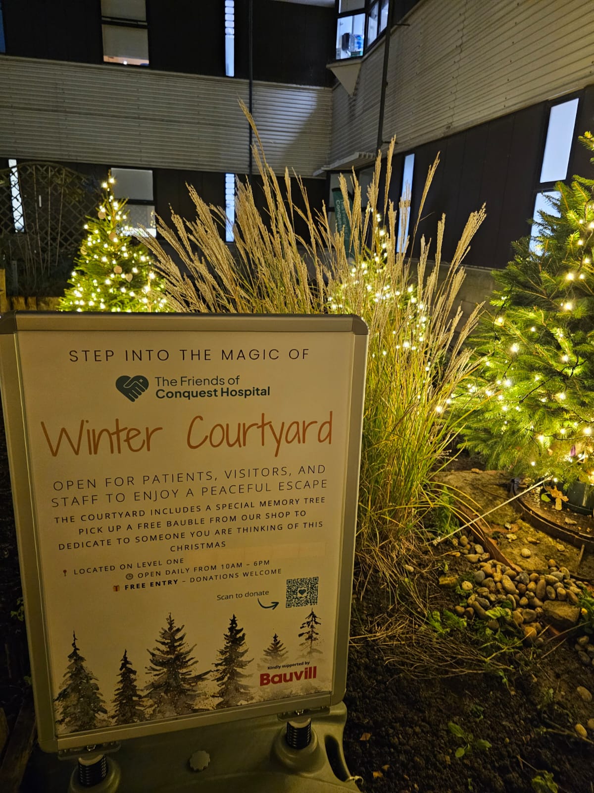 The Winter Courtyard: A Season of Light and Lasting Memories