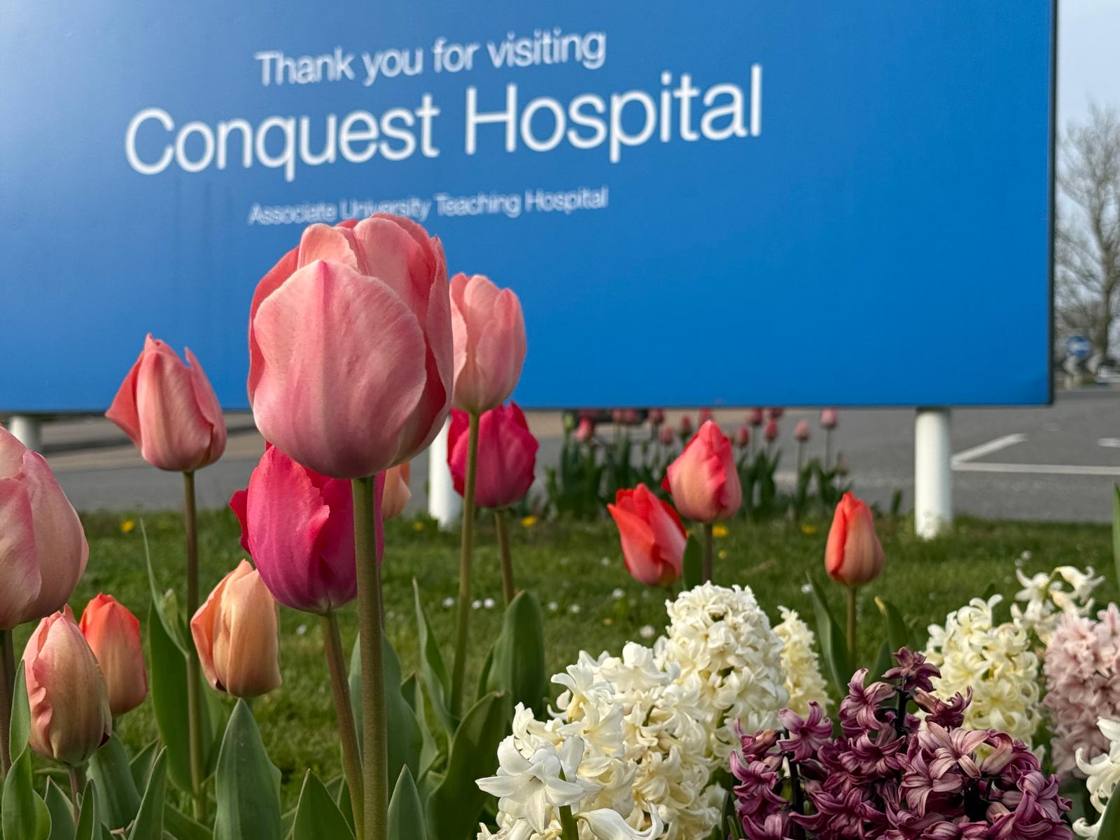🌸 The roundabout is in full bloom! 🌼