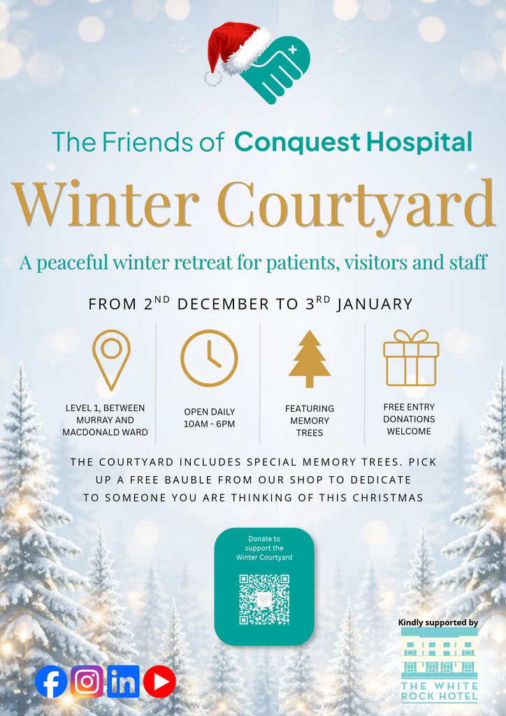 Winter Courtyard - A peaceful winter retreat for patients, visitors and staff.

Image shows a Christmas scene with twinkling Christmas trees